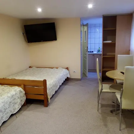 Dzika Plaza Homestay