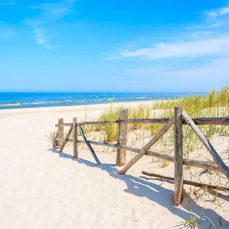 Homestay Dzika Plaza