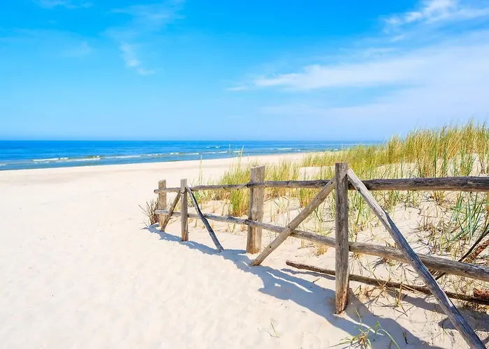 בית אירוח Dzika Plaza