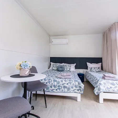 Dzika Plaza 民宿 *