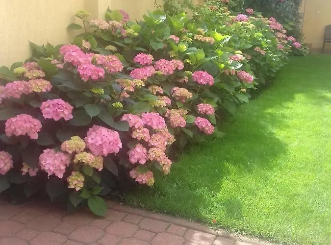 Dzika Plaza Kwatera prywatna *